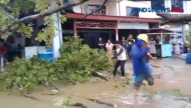 Sejumlah Pohon Tumbang Timpa Kendaraan di Pangkep Akibat Hujan Deras