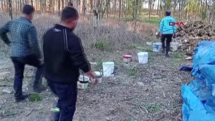 MERSİN'DE ORMAN YANGINI KONTROL ALTINA ALINDI