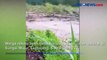 Banjir Lahar Hujan Gunung Semeru Sebabkan Jembatan di Lumajang Hanyut