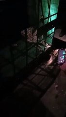 video झुंझुनूं में रात को आई पैंथर, देखें वी​डियो