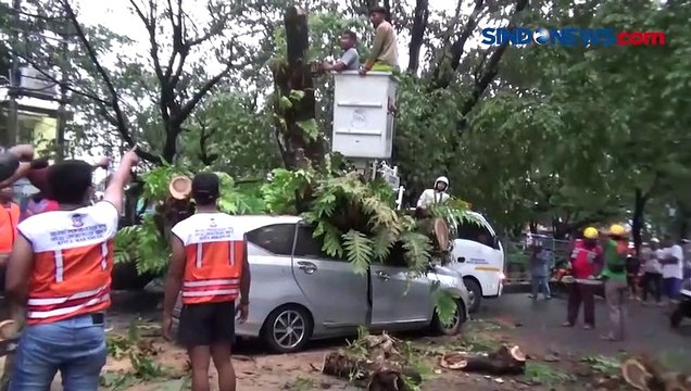 Evakuasi 6 Penumpang Mobil yang Tertimpa Pohon Tumbang di Makassar Berjalan Dramatis