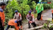 Tebing Longsor di Sulawesi Selatan, Jalan Penghubung Tidak Dapat Dilintasi