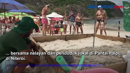 Penyu Hijau yang Terancam Punah Dirawat di Penangkaran Pantai Itaipu, Brasil
