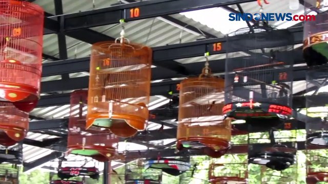 Ratusan Peserta Ikuti Lomba Kicau Burung di Bogor