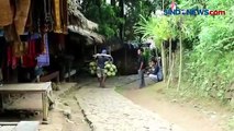 Durian Baduy, Manis dan Menggugah Selera