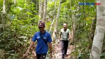 Sadap Pohon Karet, Wanita Paruh Baya di Jambi Dimangsa Ular Piton Raksasa