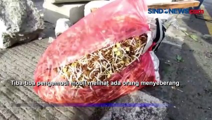Banting Stir, Mobil Sayur Tabrak Tiang PJU di Jombang