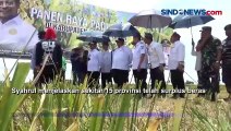 Panen Raya Padi di Kolaka Timur bersama Kementerian Pertanian