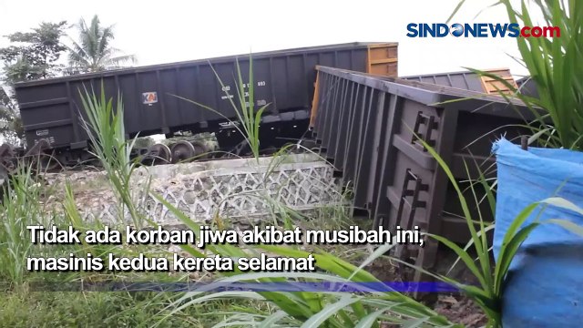 Tabrakan! Dua Kereta Pengangkut Batu Bara Saling Hantam di Stasiun Rengas Lampung Tengah