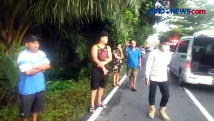 Tabrak Pohon Tumbang, 2 Pengendara Motor Tewas Ditempat