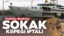 Kadıköy-Beşiktaş Vapur Seferine 'Sokak Köpeği' İptali! Kaptan Anons Yaptı Vatandaşlar Tepki Gösterdi