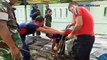 Petugas Damkar Palangka Raya  Evakuasi Ular Sanca Sepanjang 2 Meter