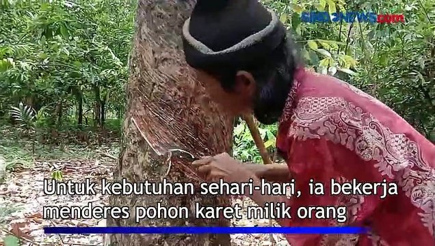 Miris, Ayah Besarkan 2 Anaknya di Gubuk Perkebunan Karet