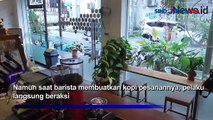 Detik-Detik Aksi Paruh Paya Curi Ponsel Terekam CCTV