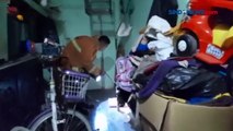 Ngeri! Petugas Evakuasi Kobra Masuk Rumah di Kota Cirebon