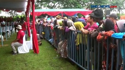 Скачать видео: Ratusan Kambing Etawa Adu Kecantikan di Tuban