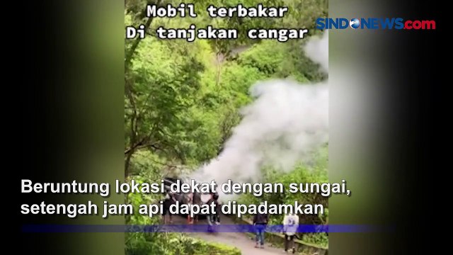 Minibus Terbakar di Kawasan Hutan Raya Mojokerto, Diduga Korsleting Mesin Mobil