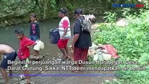 Perjuangan Warga Sikka Dapatkan Air Bersih, Pikul Jerigen Sejauh 3 Km