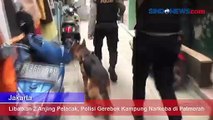Libatkan 2 Anjing Pelacak, Polisi Gerebek Kampung Narkoba di Palmerah