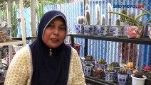 Berawal dari Hobi, IRT di Aceh Sukses Budidaya Kaktus