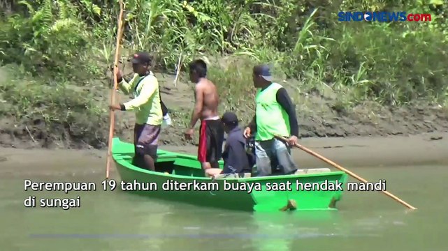 Niat Mandi di Sungai, Perempuan 19 Tahun Diterkam Buaya di Mamuju Tengah