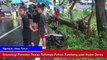 Pemotor Tewas Tertimpa Pohon Tumbang saat Hujan Deras Disertai Angin di Nganjuk
