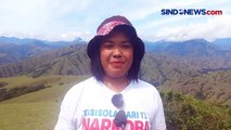 Menikmati Indahnya Permadani Hijau di Tebing Tana Toraja