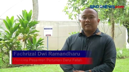 Santri Darul Fallah di Bogor Tak Hanya Belajar Ilmu Agama, tapi Juga Bertani hingga Beternak