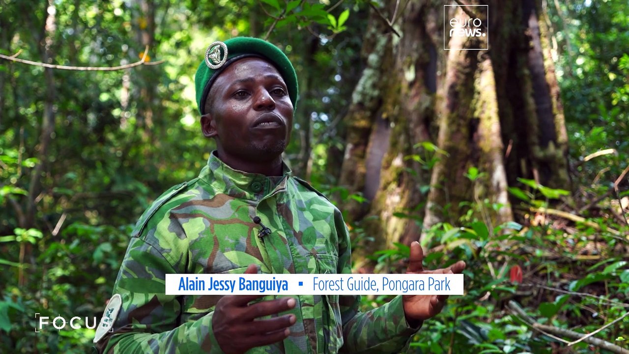 Preservation of tropical forests at heart of Gabon's One Forest Summit
