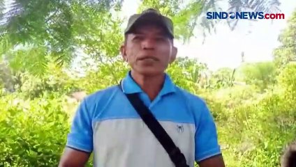 Pria di Nunukan Nekat Bunuh dan Bakar Pacarnya Usai Cintanya Diputus Korban