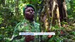 Gabon tropikal Afrika Ormanları'nı koruma çabalarının görülmesini istiyor