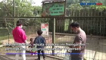 Libur Nataru, Wisata Edukasi Diserbu Warga di Kabupaten Bandung Barat