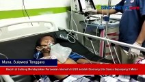 Bocah di Sulteng Mendapatkan Perawatan Intensif di UGD setelah Diserang Ular Sanca Sepanjang 5 Meter