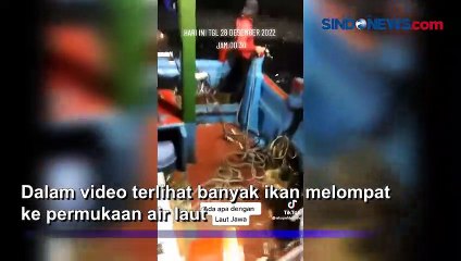 Heboh, Beredar Video Ikan Naik ke Permukaan Air Laut
