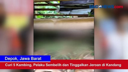 Curi 5 Kambing, Pelaku Sembelih dan Tinggalkan Jeroan di Kandang