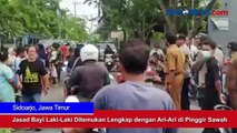 Jasad Bayi Laki-Laki Ditemukan Lengkap dengan Ari-Ari di Pinggir Sawah