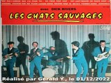 Les Chats Sauvages & Dick Rivers_Oh oui (L. Walter_My babe)(1962)