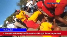 Penampakan Buaya yang Ditemukan di Pinggir Pantai Legian Bali