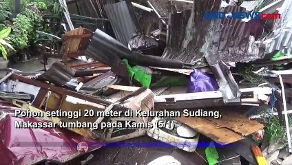 Pohon Tumbang di Makassar, Ibu dan Anak Tewas