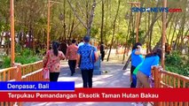 Terpukau Pemandangan Eksotik Taman Hutan Bakau di Denpasar