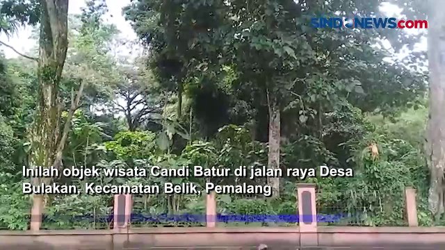 Unik! Wisata Candi Batur di Pemalang Dihuni Ribuan Monyet yang Bersahabat dengan Manusia