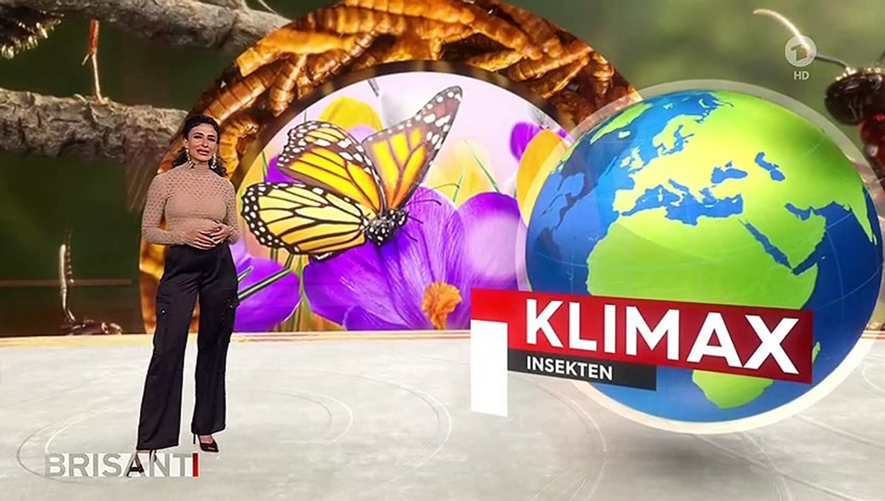 Marwa Eldessouky Brisant (08/03/2023)