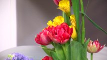 Learn the Art of Ikebana - Japanese Flower Arranging