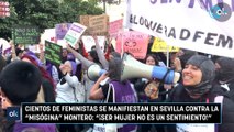 Cientos de feministas se manifiestan en Sevilla contra la “misógina” Montero: “¡Ser mujer no es un sentimiento!”