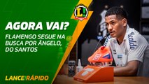 Flamengo segue na busca por Ângelo, do Santos - LANCE! Rápido