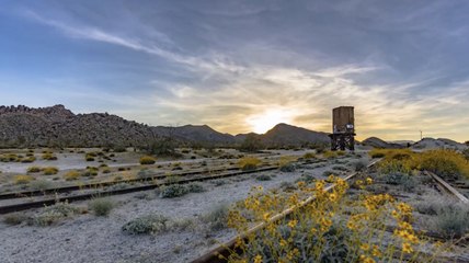California's Largest State Park Has the Best Wildflower Super Blooms in the State
