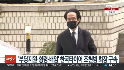 '부당지원·횡령·배임' 한국타이어 조현범 회장 구속