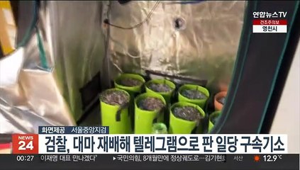 검찰, 대마 재배해 텔레그램으로 판 일당 구속기소