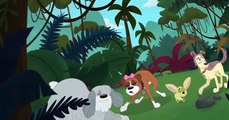 Pound Puppies 2010 Pound Puppies 2010 S03 E023 Lord of the Fleas