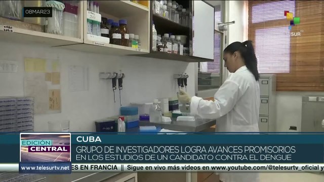 Científicos cubanos avanzan en el desarrollo de un candidato vacunal contra el dengue